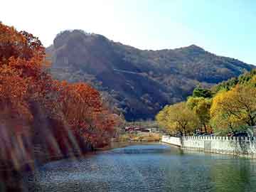 新澳天天开奖资料大全旅游团，阿富汗白玉